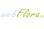 Служба доставки цветов по киеву "WebFlora"